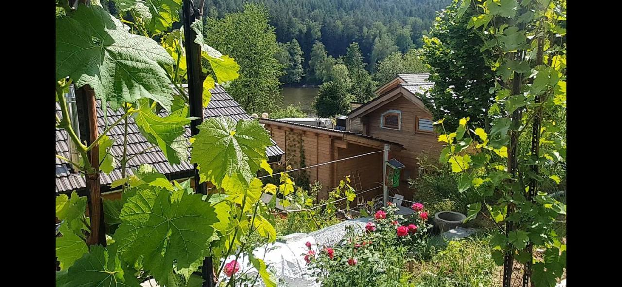 Holzhaus Am See Mit Panoramablick Trausnitz ภายนอก รูปภาพ
