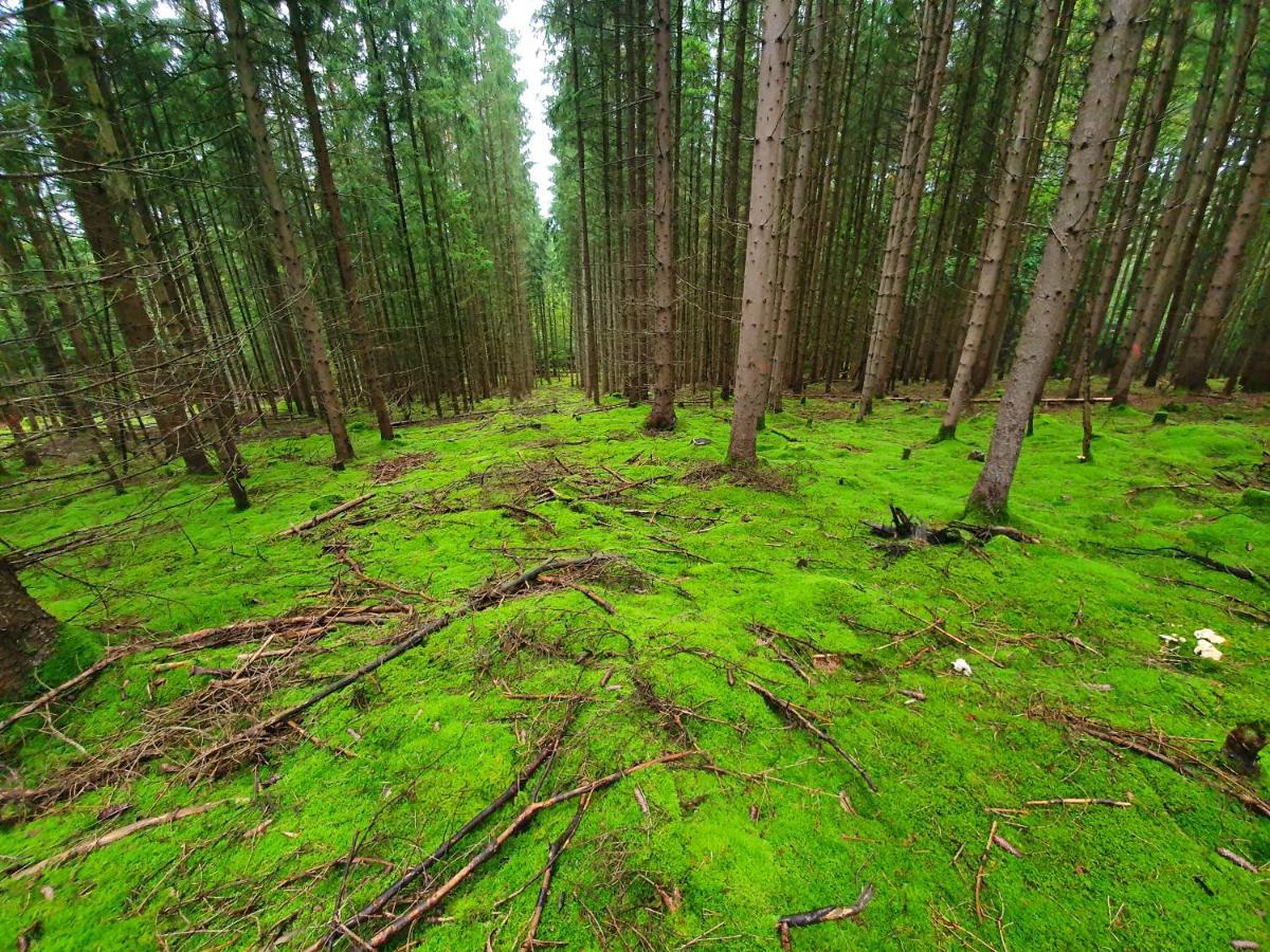Holzhaus Am See Mit Panoramablick Trausnitz ภายนอก รูปภาพ