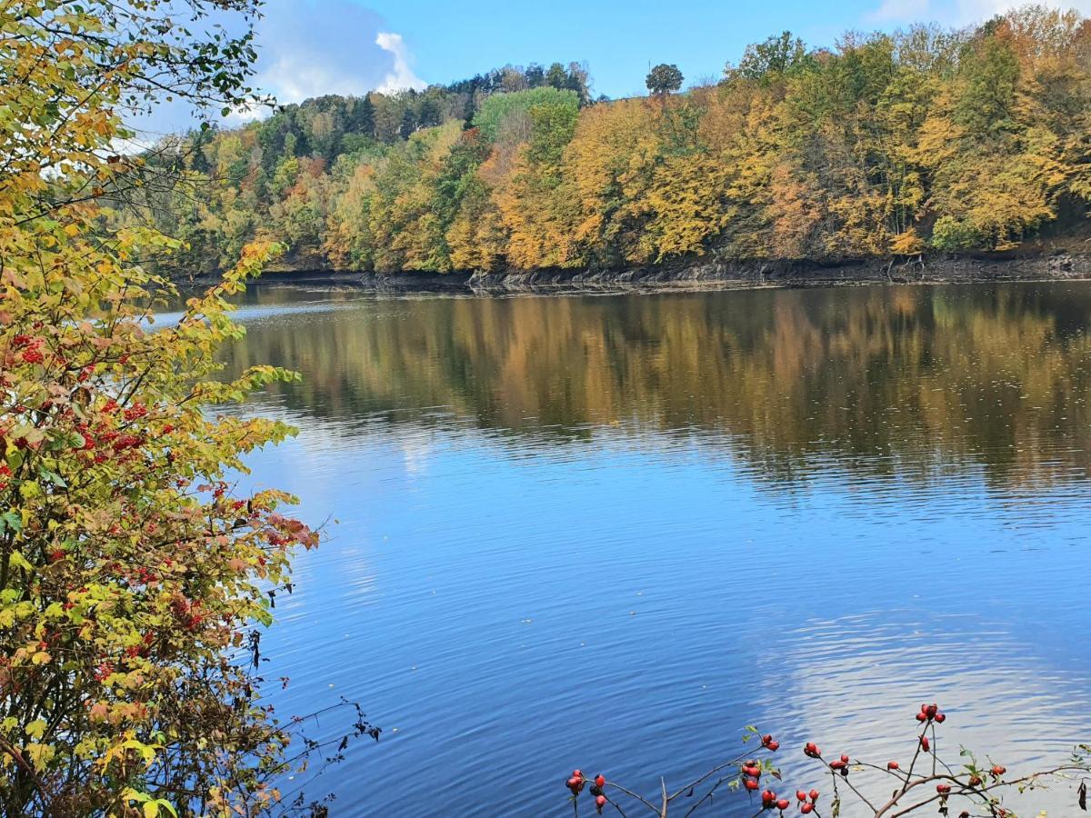 Holzhaus Am See Mit Panoramablick Trausnitz ภายนอก รูปภาพ